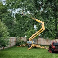 Riverview, SC Tree Care Company